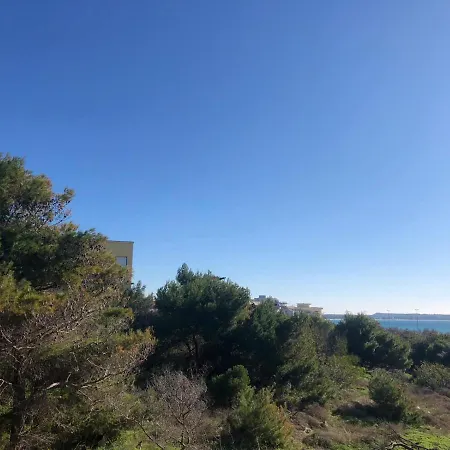 Mare Gallipoli