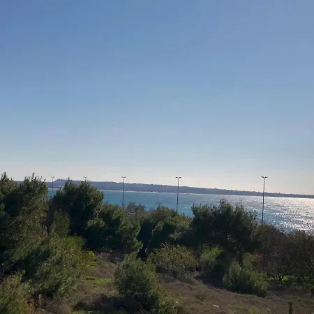 Mare
